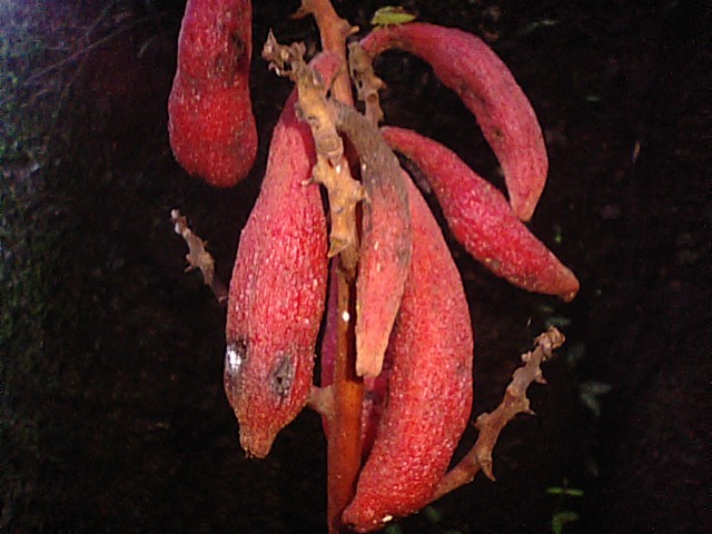 f0231709_9404130.jpg