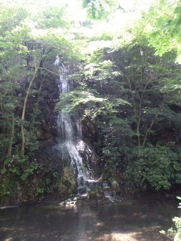 d0170615_146524.jpg