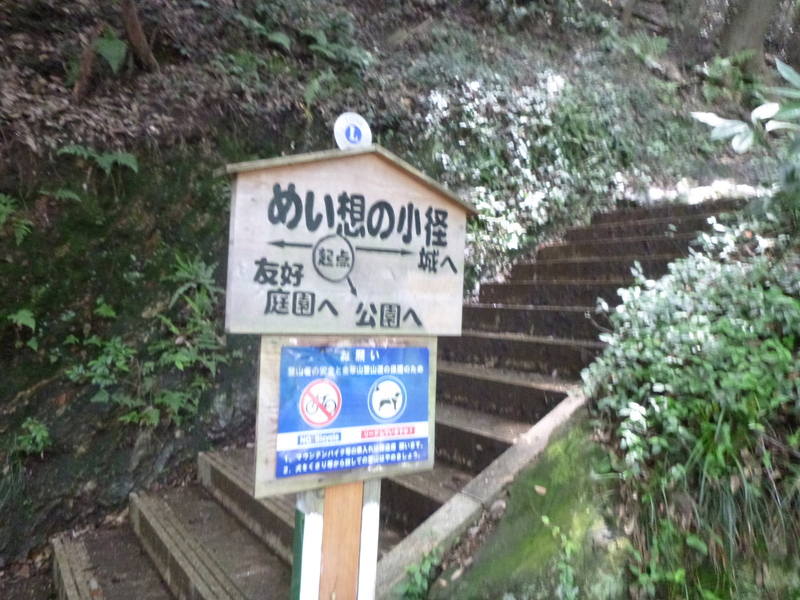 d0170615_1472252.jpg