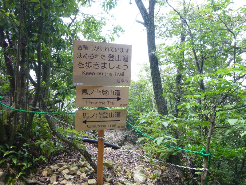 d0170615_1475499.jpg