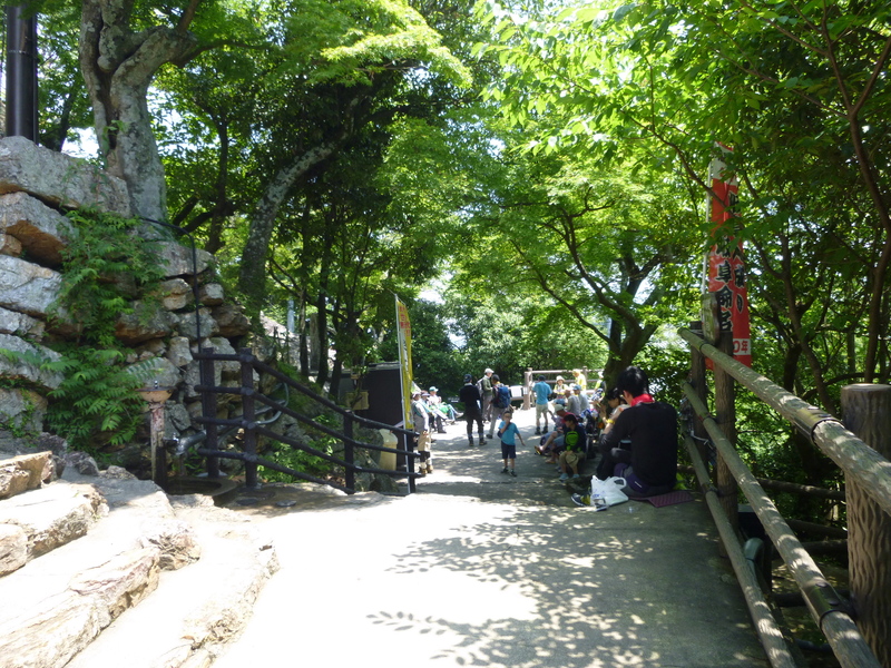 d0170615_1494794.jpg