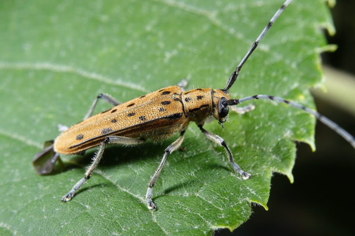e0337826_21131511.jpg