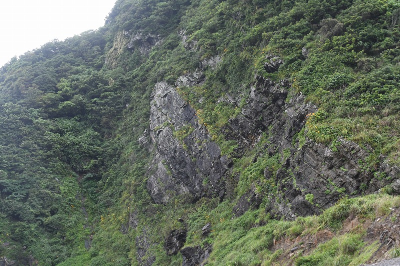 b0104861_18523874.jpg