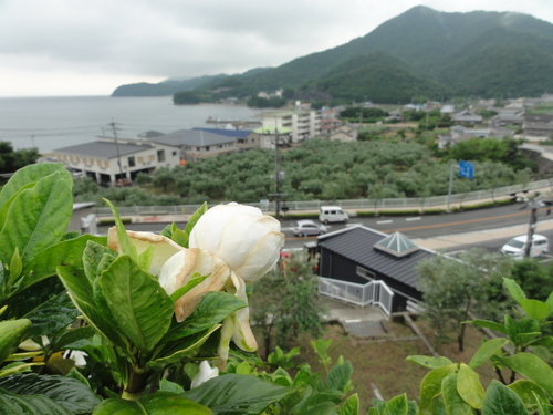 d0029363_1035262.jpg