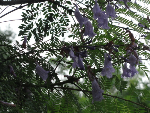 d0029363_1041731.jpg