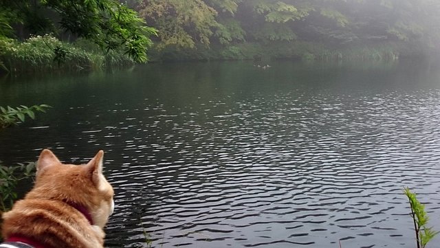 b0274270_13151277.jpg