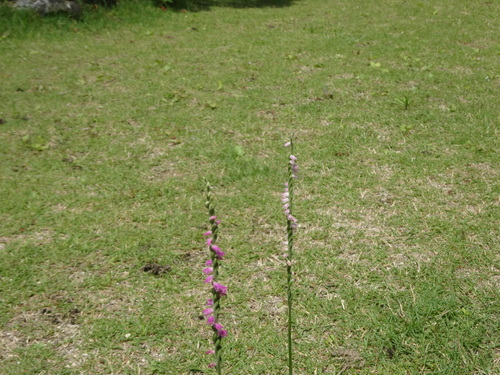 f0231573_16352523.jpg