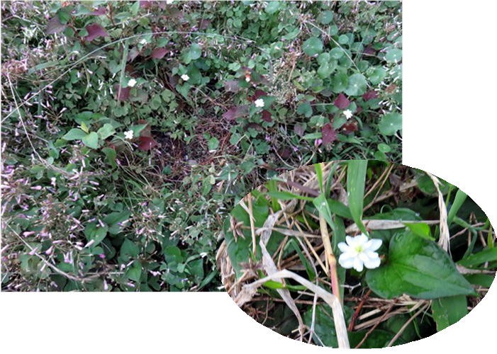 f0003174_14431357.jpg