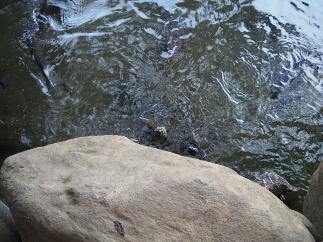b0246876_21334089.jpg