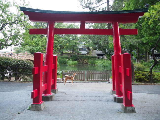b0246876_21482995.jpg