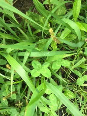 e0247279_11001575.jpg