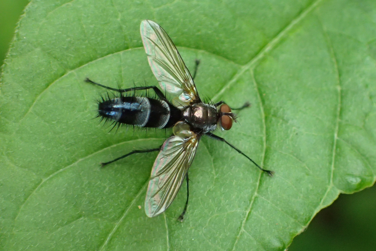 c0369491_22521390.jpg