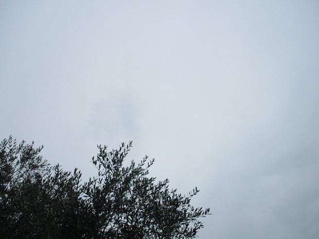 d0333091_19265962.jpg