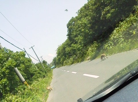 f0200795_1458172.jpg