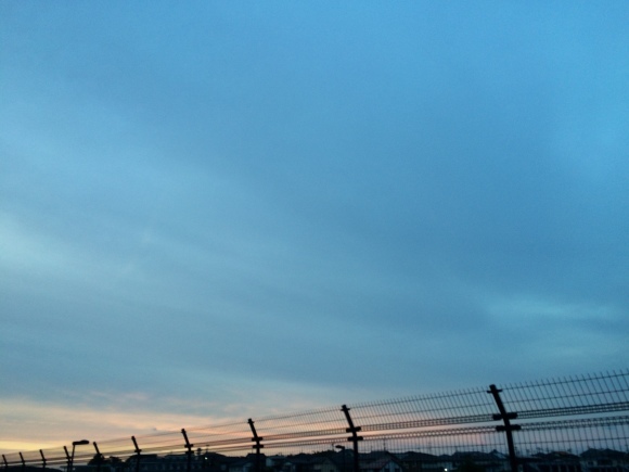 d0239796_19074402.jpeg