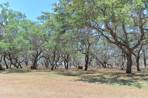 f0174198_11025349.jpg
