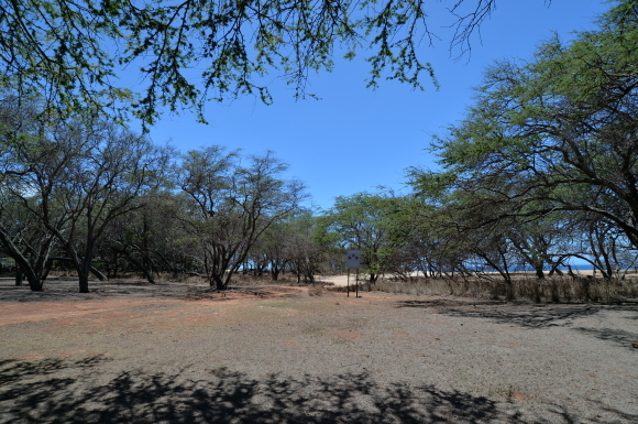 f0174198_11030232.jpg