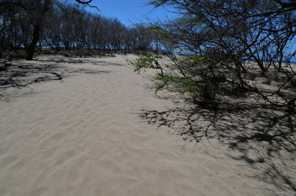 f0174198_11032461.jpg