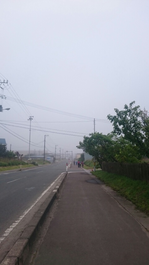 d0149105_7192859.jpg