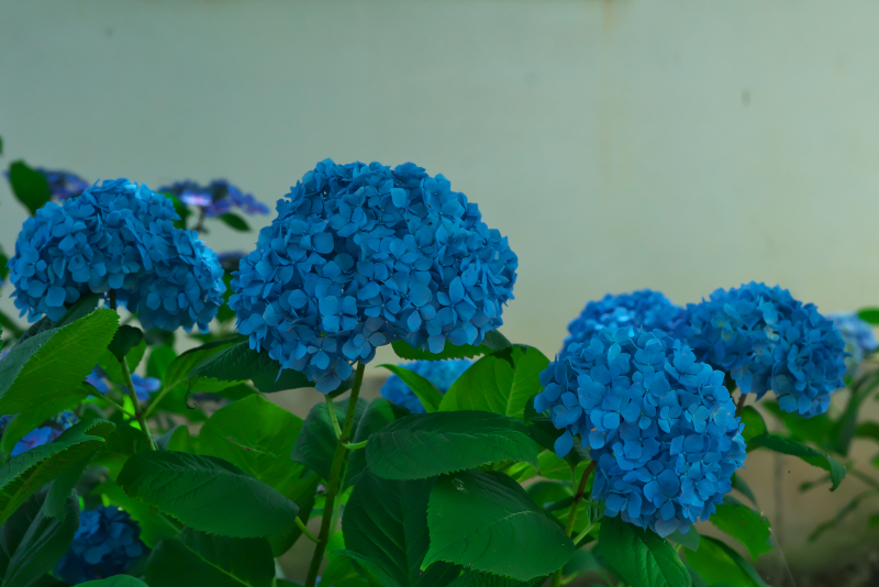 a0263109_13225910.jpg