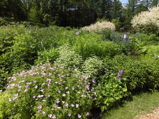 b0035611_21144499.jpg