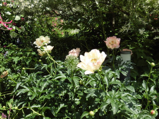 b0035611_21152750.jpg