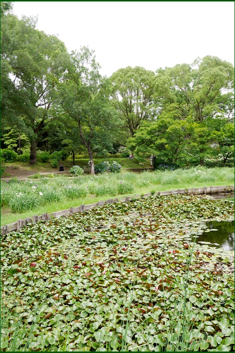 c0157412_163054100.jpg