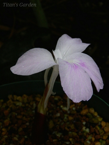 b0099813_0163524.jpg