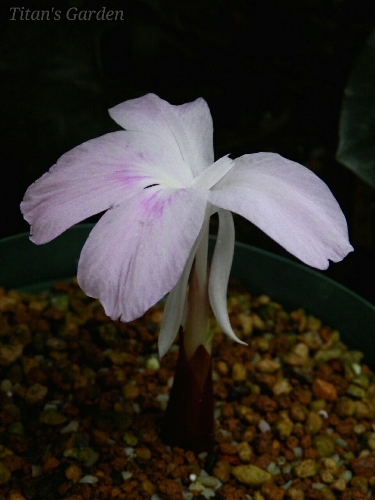 b0099813_0163537.jpg