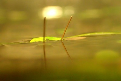 c0369423_21394894.jpg