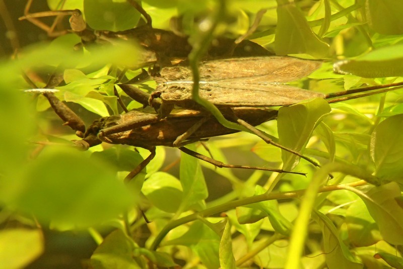 c0369423_21400594.jpg