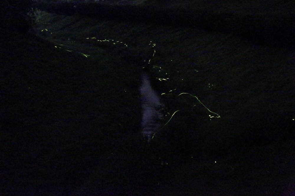 c0111229_18511244.jpg