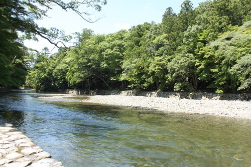f0202529_110827.jpg