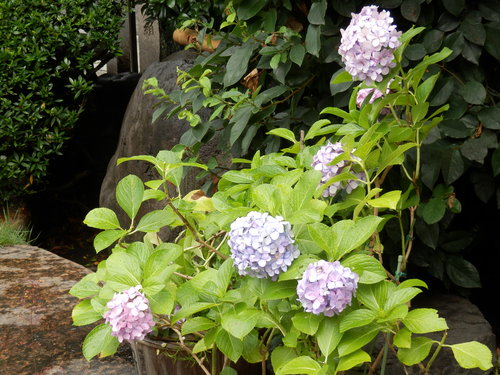 a0279738_2034298.jpg