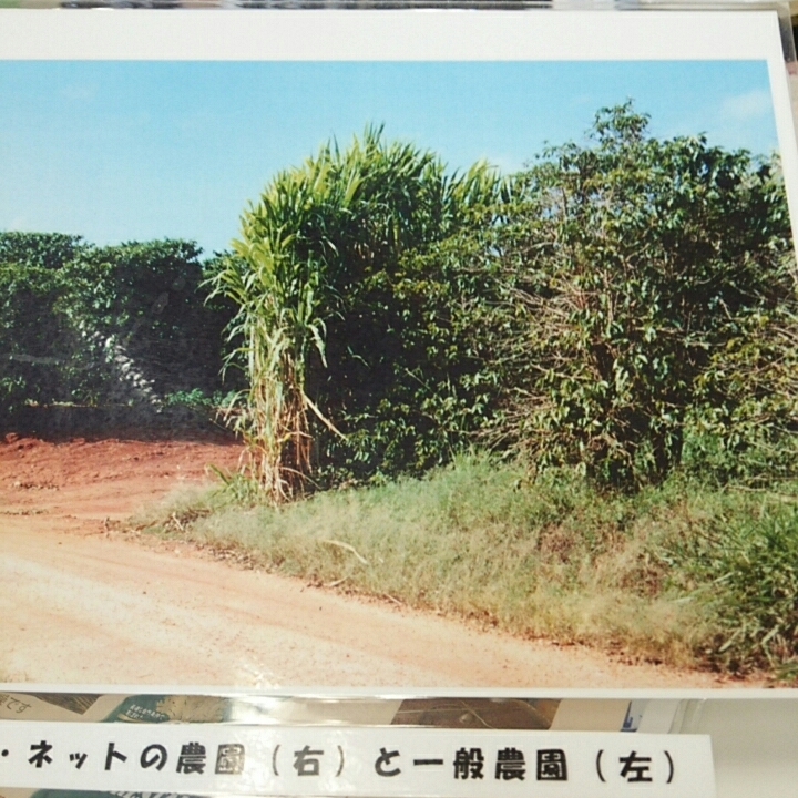c0335540_18130379.jpg