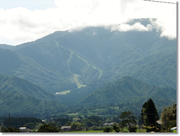 f0333346_10553253.jpg