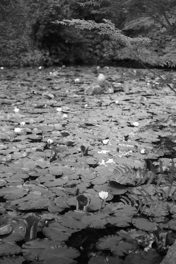 e0264158_07392470.jpg