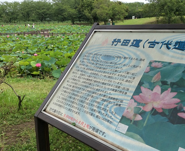 c0076764_1141515.jpg
