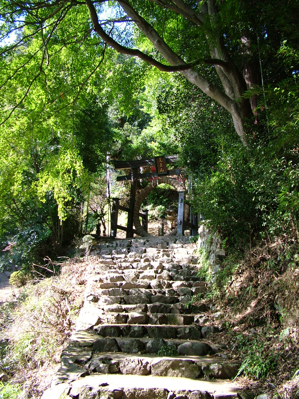 b0141970_1038103.jpg