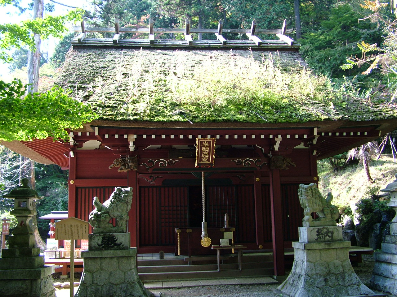 b0141970_10392485.jpg
