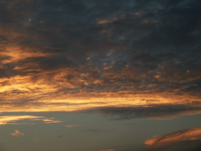 b0326576_22302474.jpg