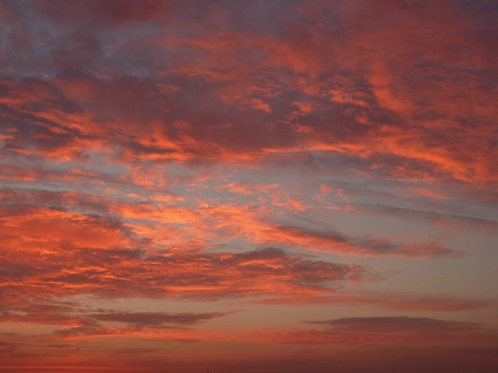 b0326576_22303878.jpg