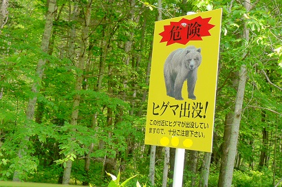 f0150377_184811.jpg