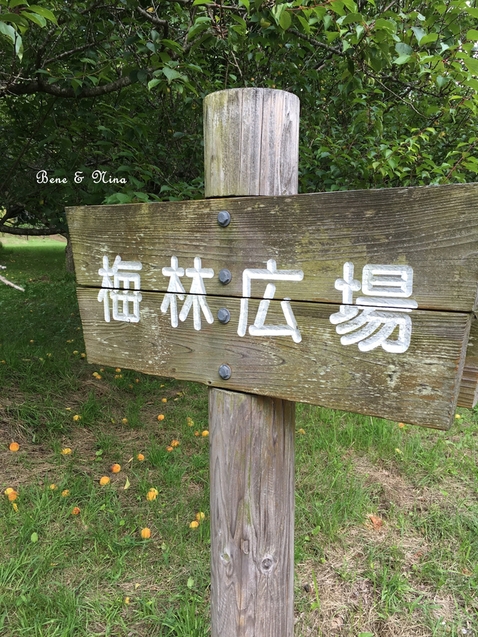 c0283778_11213976.jpg