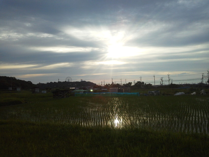 f0053885_2134171.jpg
