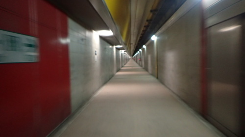 a0338094_23395982.jpg