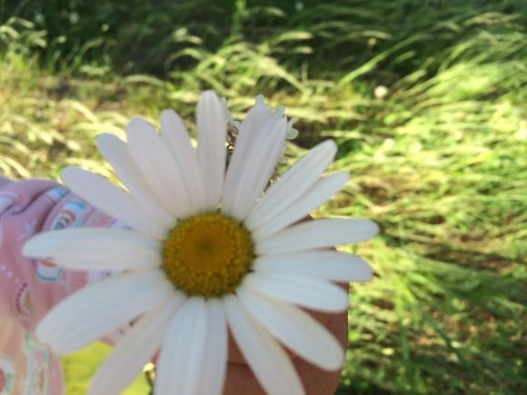 d0239796_19222614.jpeg