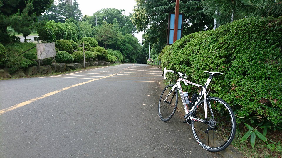 b0092300_1212567.jpg