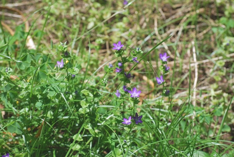 e0025300_20593284.jpg