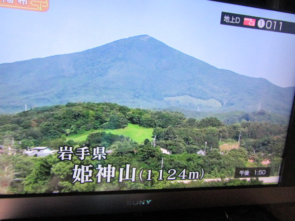 f0231709_10531124.jpg